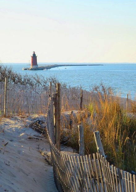 File:Cape Henlopen State Park, Lewes ...
