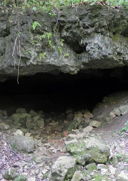 File:Lone Hill Onyx Cave.JPG ...