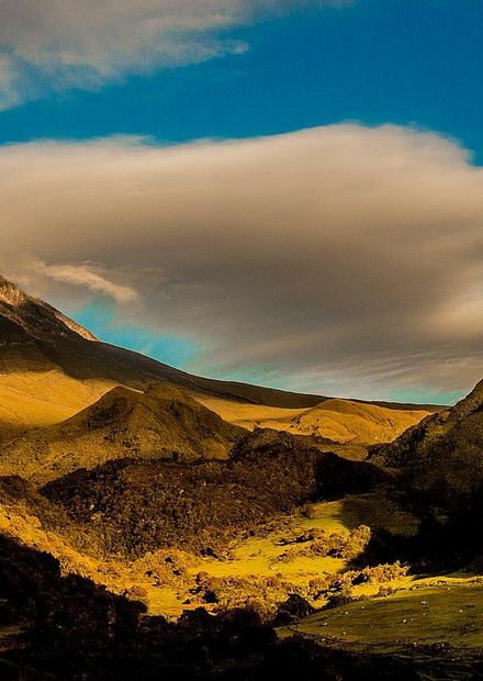 Parque nacional Natural de los nevados ...