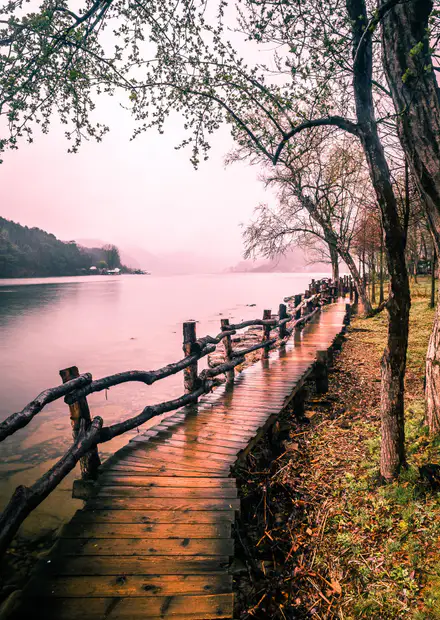 File:Nami Island South Korea Travel ...