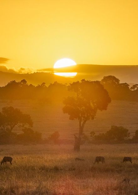 File:Masai Mara at Sunset.jpg - Wikipedia
