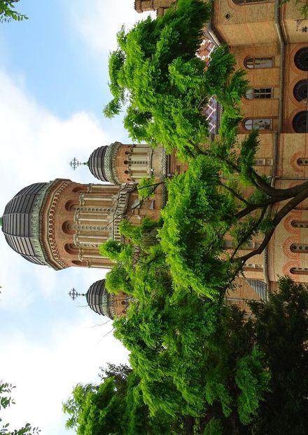 File:National University of Chernivtsi ...