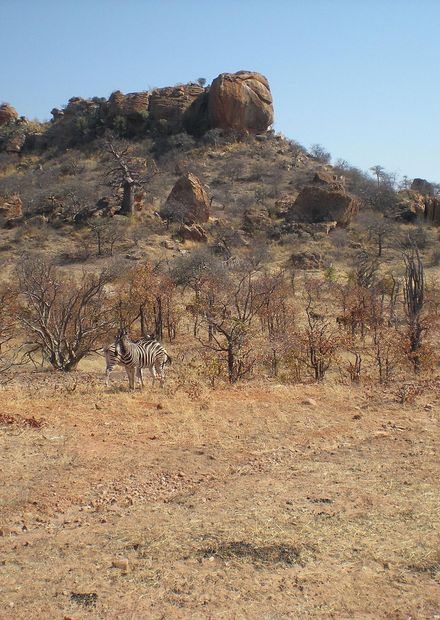 Mapungubwe National Park ...