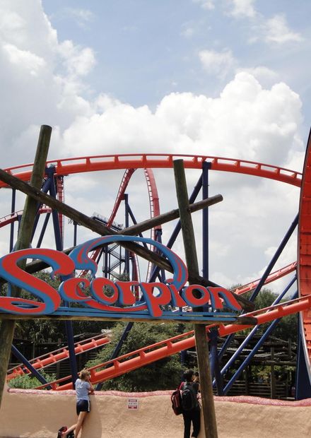 File:Scorpion (Busch Gardens Afrika ...