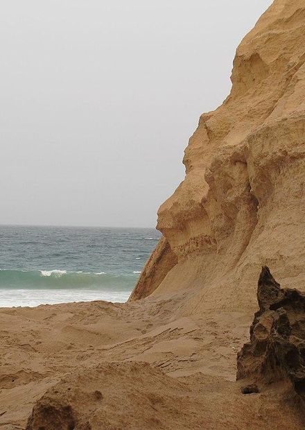 File:Ras Al Jinz turtle reserve ...