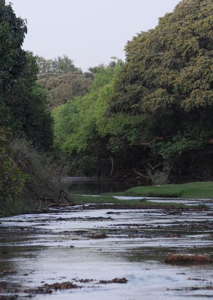 File:Pendjari Fluss.JPG - Wikimedia Commons