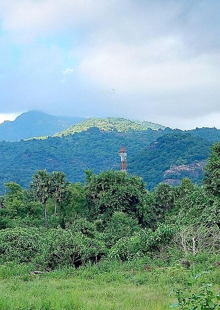 File:Araku Valley, Visakhapatnam.jpg ...