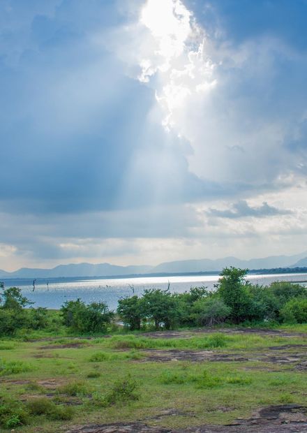 Udawalawe National Park, Sri Lanka.jpg ...