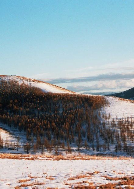 Αρχείο:Paysage de Mongolie.jpg ...