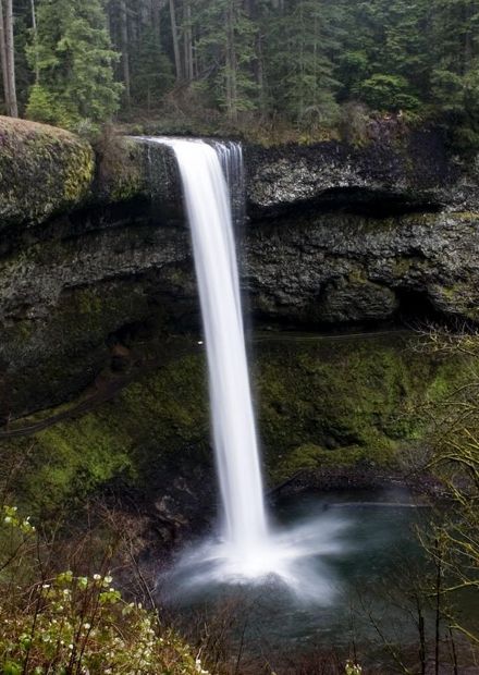 Falls, Silver Falls State Park.jpg ...