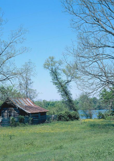 File:Log house in the Cane River Creole ...