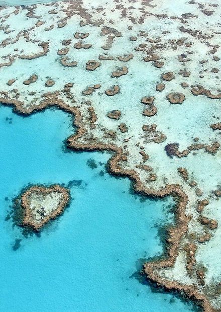 File:The heart reef, part of the Great ...