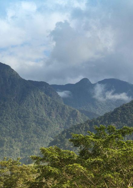 Archivo:Pico-Bonito (12122463094).jpg ...