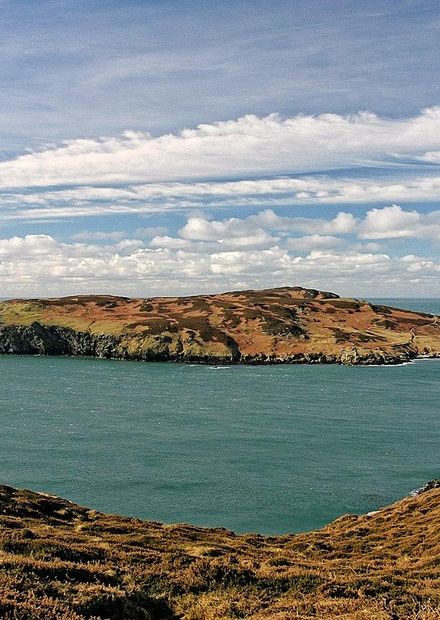 Calf of Man - geograph.org.uk - 29.jpg ...