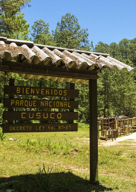 Archivo:Cusuco National Park, Honduras ...