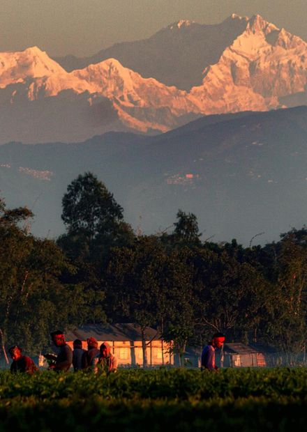 File:Kanchenjunga view from Bangladesh ...