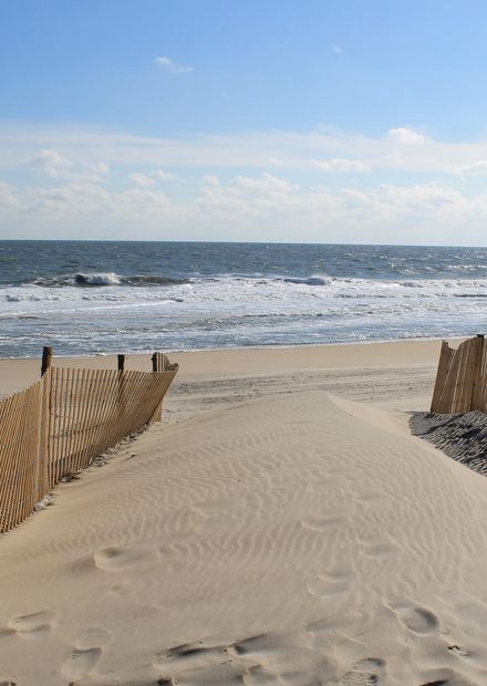 Fenwick Island State Park - Wikipedia
