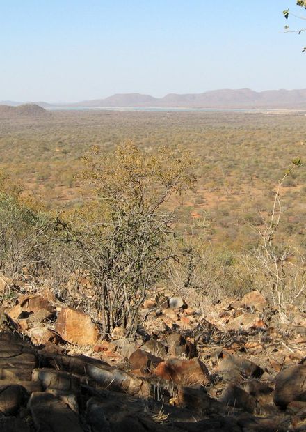 File:Overlooking Mokolodi Nature ...