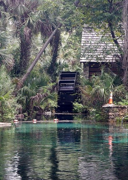 File:Juniper Springs - panoramio.jpg ...