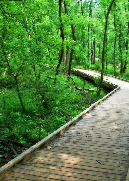 File:Boardwalk-conestee-park.jpg ...