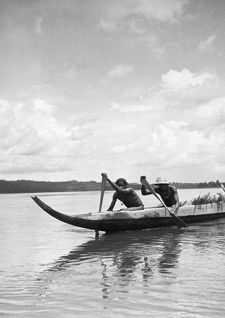 File:Korjaal op de Marowijnerivier bij ...