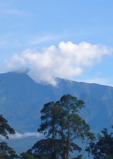 File:Pico Basilé.jpg - Wikimedia Commons