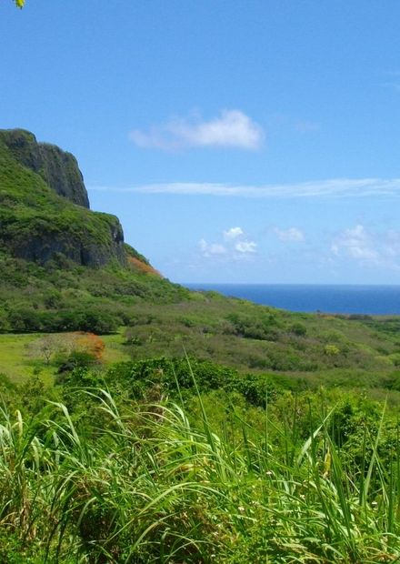File:Suicide Cliff in Saipan 3.JPG ...