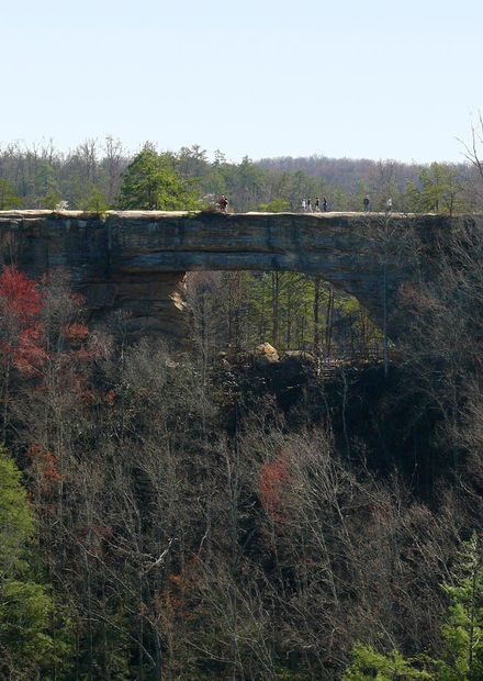 File:Natural Bridge KY-27527-3.jpg ...