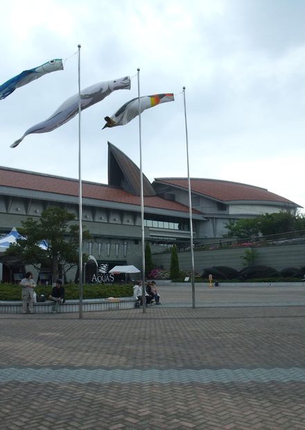 File:Public aquariums in Aquas.JPG ...