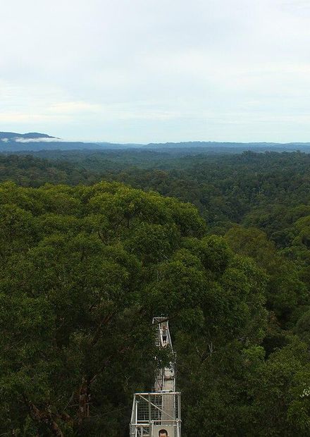 File:Over borneo.jpg - Wikimedia Commons