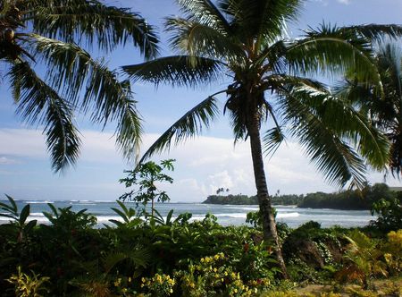 File:Samoa scenic coastline with palm ...
