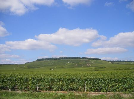 Fichier:FR-51-Landscape3.JPG — Wikipédia