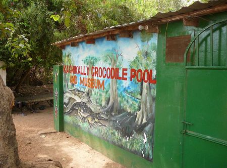 File:Gambia Kachikally 0002.jpg ...