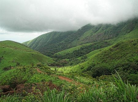 File:Mount Nimba Strict Nature Reserve ...