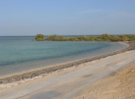 File:Dakhira Beach, Qatar.JPG ...