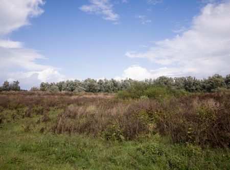File:Oostvaardersplassen Flevoland ...