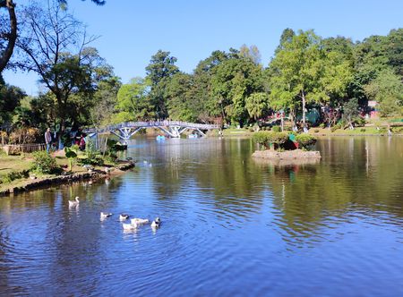 File:Ward's Lake.jpg - Wikimedia Commons