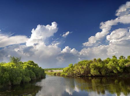 File:Bayou Sauvage New Orleans ...