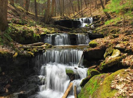 landscape, forest, waterfall, creek ...
