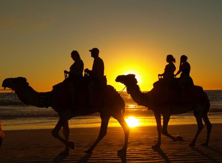 File:Cable Beach Sunset Camel Ride.JPG ...