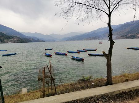 fewa lake located in pokhara, nepal.jpg ...