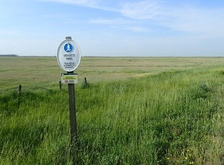 File:Hortobágy National Park kz08.jpg ...