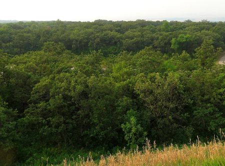 File:Turtle Mountain State Recreational ...