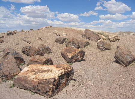 File:Petrified Forest National Park ...