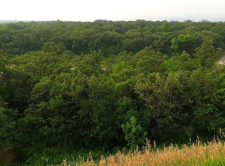 File:Turtle Mountain State Recreational ...