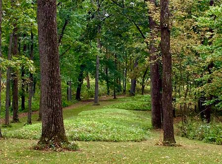 File:Great Bear Mound Group, North Unit ...