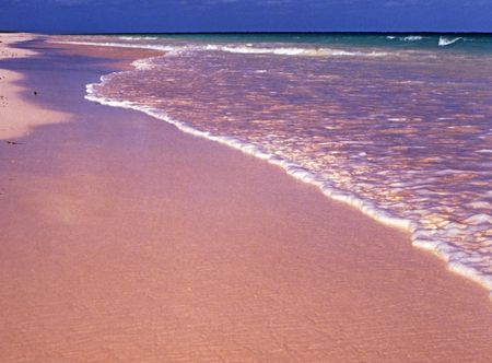 File:Bahamas 1989 (348) Eleuthera Pink ...