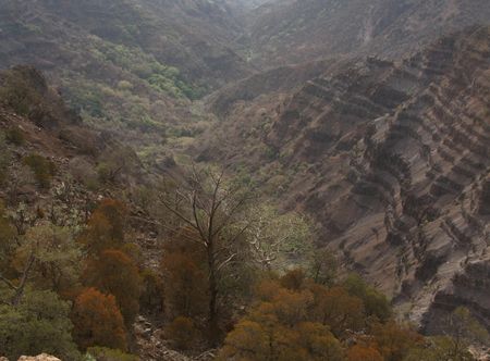File:Goda Mountains - National Park of ...