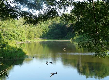 File:Audubonwildernesslake.JPG ...
