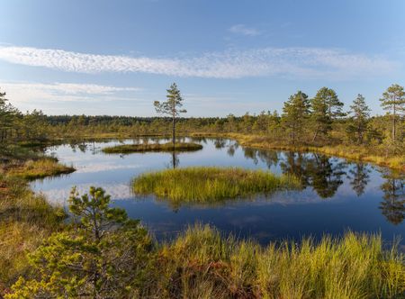 File:Viru Bog, Parque Nacional Lahemaa ...